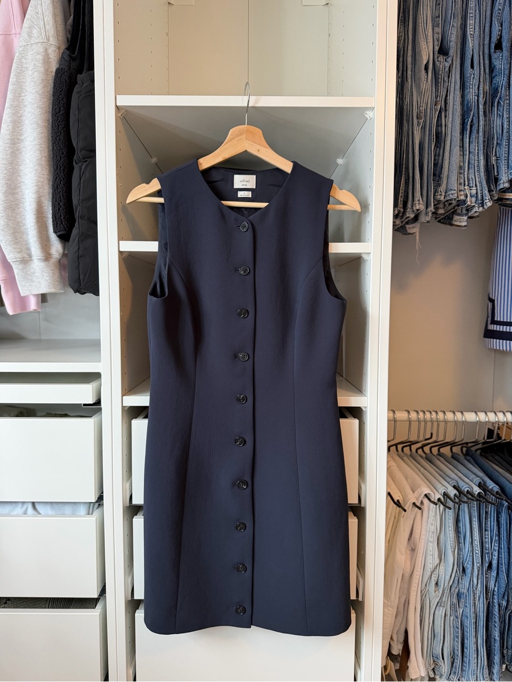Aritzia Regal Dress Crepette